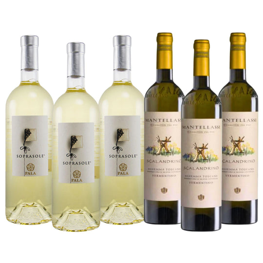 Vermentino Delights Bundle