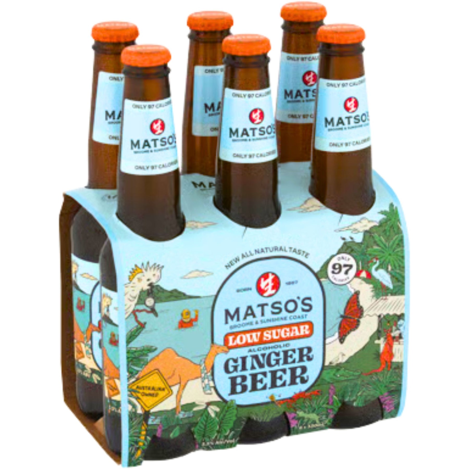 Matso Ginger R Matso's Ginger Beer Low Sugar Stub 6pk – Sense of Taste