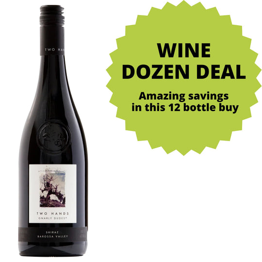 Two Hands Gnarly Dudes Shiraz DOZEN DEAL
