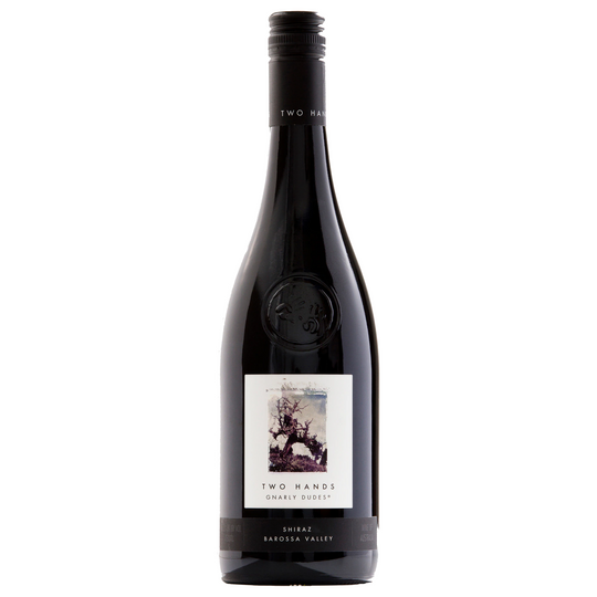 Two Hands Gnarly Dudes Shiraz