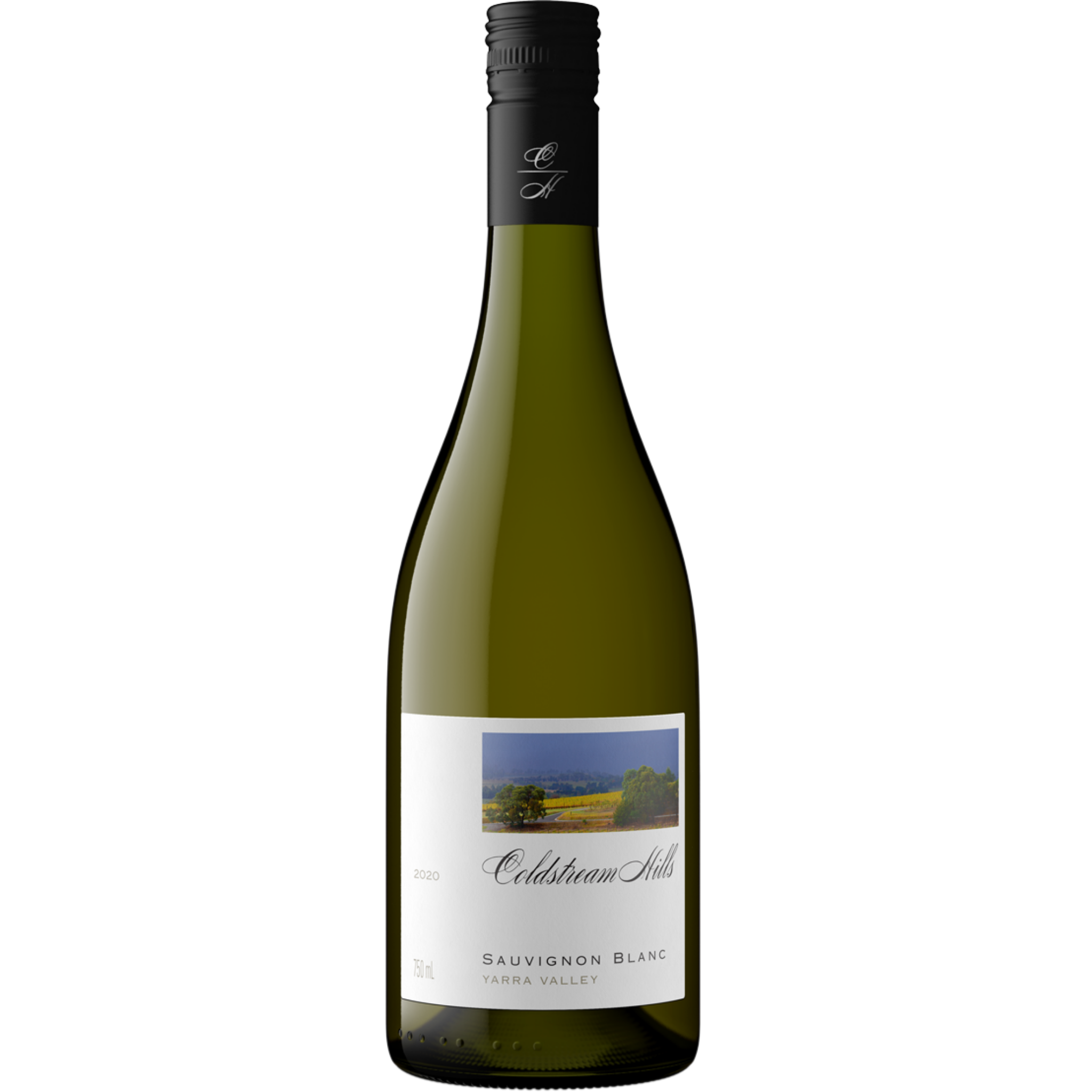 Coldstream Hills Sauvignon Blanc | Sense of Taste